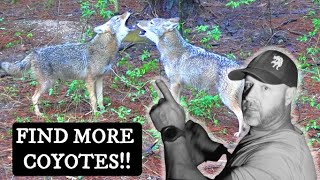 How To FIND COYOTES LOCATING COYOTES Explained In Detail For DAY or NIGHT Coyote Hunting [upl. by Artinek]