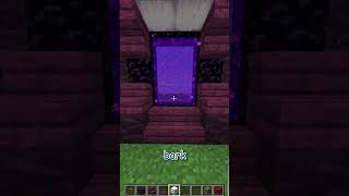 how to build better NETHER PORTALS update 121 shorts minecraftbuilds minecraft [upl. by Kaycee]