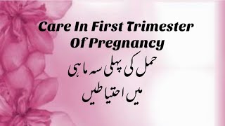 Care In First Trimester Of Pregnancy  Pregnancy Care In First Trimester  Care In First Trimester [upl. by Anse]