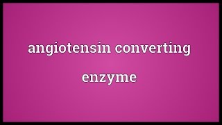 Angiotensin converting enzyme Meaning [upl. by Anyahs745]