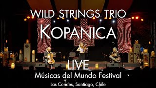 Wild Strings Trio  Kopanica  LIVE in Chile [upl. by Riehl]