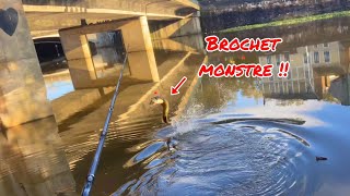 Brochet MONSTRE en pêchant le silure  Pêche au vif 42 [upl. by Ynaffets698]