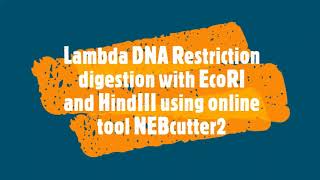 Phage Lambda DNA restriction digestion with EcoRI and HindIII enzymes using online tool NEBcutter v2 [upl. by Paver]