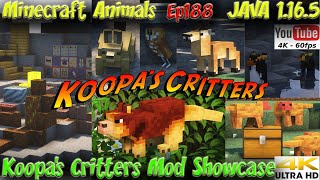 Koopas Critters Mod Showcase and Download JAVA 1165 1122 Minecraft Animals Ep188 [upl. by Sello]