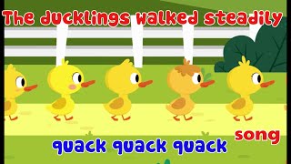 The ducklings walked steadily quack quack quack  songs for children [upl. by Ettevroc]