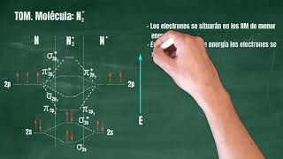 101 Teoría de Orbitales Moleculares Molécula N2 [upl. by Wyn]