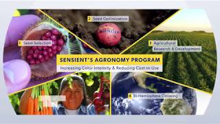 Sensients Agronomy Program [upl. by Penny]