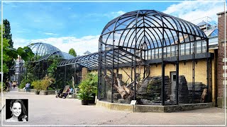 🦋 Exploring Artis Amsterdam Royal Zoo A Planet Zoo Inspiration Journey  Vlog [upl. by Htidra]