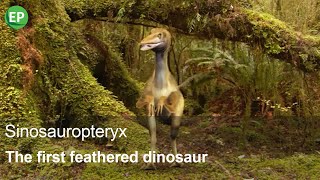 Sinosauropteryx  The first feathered dinosaur  Amazing animals  Wild Life  Prehistoric Dinosaurs [upl. by Angil]