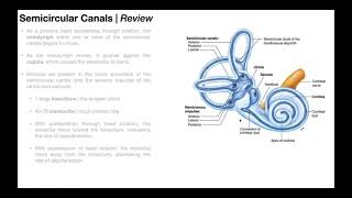 Benign Paroxysmal Positional Vertigo BPPV  Overview [upl. by Mcclain]