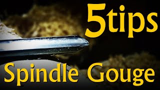 5 Technique Tips on the Spindle Gouge  Advanced Adjacent [upl. by Arrek]