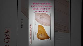 RkShort video Best trick to learn glucose alanine cycle in 10 second viral [upl. by Collins]