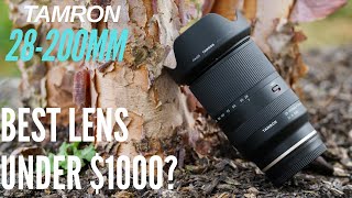 Best All Round Lens Under 1000 Tamron 28200mm Lens Review [upl. by Ahsenav]