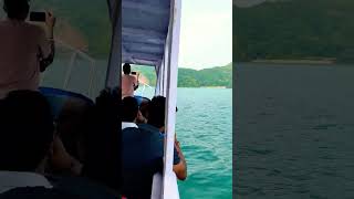 Dolphin watching trip in Om beachtravel trandingbeachegaadventures tourism shortvideo shorts [upl. by Egroj]