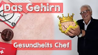 Das Gehirn 🧠 Der Chef Ihrer Gesundheit 👑 Wie das Nervensystem Einfluss auf die Gesundheit nimmt [upl. by Ybbed]