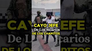 JEFE DE SICARIOS DE LOS CHAPITOS ES ARRESTADO EN CULIACÁN mexico narcos culiacan shorts facts [upl. by Eissat]