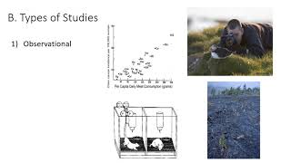 Introduction to Zoology [upl. by Aremaj]