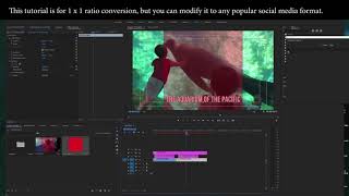 Convert video to Instagram format in Premiere Pro CC [upl. by Christin622]