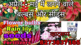 summer flower bulbs update video lily bulbs  rhyzomes and tuber seeds fertilizer [upl. by Athalee]