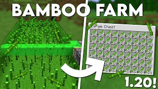 Minecraft Automatic Bamboo Farm  120 Tutorial [upl. by Karalee]