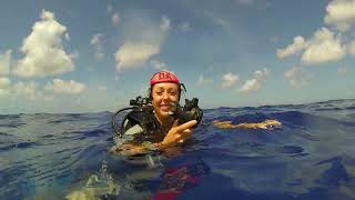 Diving Cozumel Mexico 2013 [upl. by Toombs]