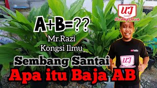 SANTAI  Apa itu Baja AB  Cara guna baja AB [upl. by Amikay]