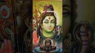 Namah Shivay 🔱🙏🔱mahamrityunjay mantra❤️🌺❤️🙏supportshort video 🙏❤️🌺🙏 [upl. by Eillac]