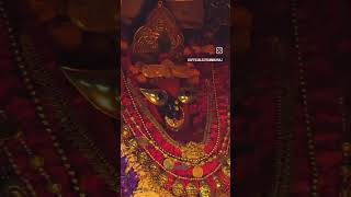 Hath me kanganwa sobhe maiya ke bhajan video short 💖🙏🙏🙏 [upl. by Ntisuj]