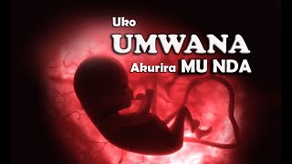 UKO UMWANA AKURIRA MU NDA Umunsi ku munsi Video yuruhinja rutaravukaUMWANA MU NDA [upl. by Erv925]