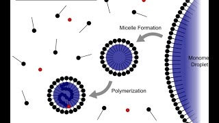 Emulsion Polymerization [upl. by Ellinej290]