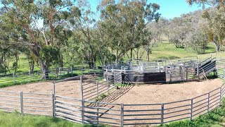 1058 Old Bundarra Road BARRABA New South Wales [upl. by Dyal]