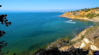 LIVE Palos Verdes California Bluff Cove [upl. by Sillad686]