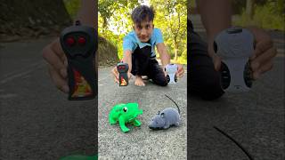 Remote control mouse 🐁 vs frog testing 🐸 [upl. by Barraza]