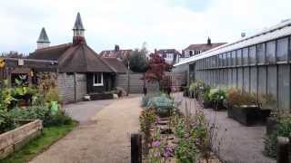 The Butterfly House in Golders Hill Park [upl. by Idyh]