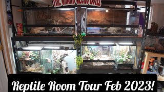 Reptile Room Tour February 2023 Rare and Uncommon Lizards [upl. by Icats]