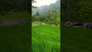 tanjakan viral di cianjur selatan bikin kagum pemandangan nya yang indahnature sawah alampedesaan [upl. by Neeroc423]