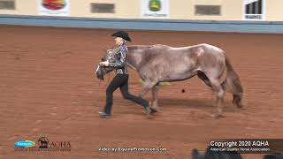 2020 AQHA Showmanship [upl. by Ariem]