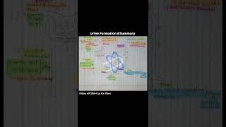 Mechanism Of Urine Formation  biology  PCMBGuy  Excretory System  system kidney [upl. by Oivat24]