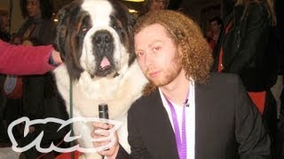 Westminster Dog Show On Acid [upl. by Lee]