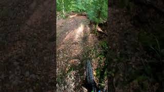 Boppardmtb downhill bikelife automobile mountainbike mtblife enduro jump [upl. by Bendicta]