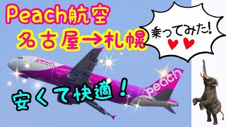 Peach航空に乗ってみた 中部国際空港ー新千歳空港 [upl. by Trudi]