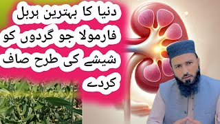 World best kidney Stones Herbs🌿 Gurdon se pathri kaise nikalti haHome Remedies [upl. by Leamhsi]