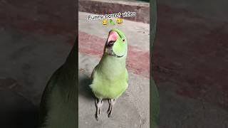 Mummy ek glass pani de do 😂🦜🎉shorts funnyparrot funnyvideo funny ringneck popat funnybird [upl. by Edahsalof]