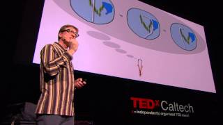 Can We Expand Our Consciousness with Neuroprosthetics Malcolm MacIver at TEDxCaltech [upl. by Nonnairb]