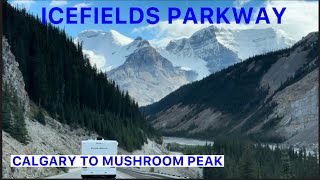 ICEFIELDS PARKWAY  MOST SCENIC DRIVE IN THE WORLD  ALBERTA CANADA [upl. by Skipper]