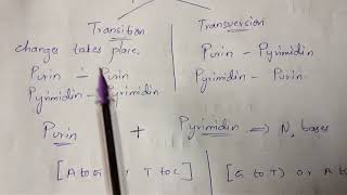 POINT MUTATIONBY PHANINDRA GUPTHA [upl. by Enrichetta]