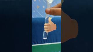 Preparation of Zinc Sulphate Solution experiment chemistry trendingshorts [upl. by Jansen]