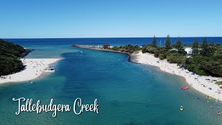 TALLEBUDGERA CREEK  Paddle Boarding [upl. by Einna]