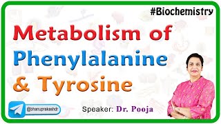 Metabolism of Phenylalanine and Tyrosine  Phenylketonuria PKU Alkaptonuria and Tyrosinemia [upl. by Haletky]