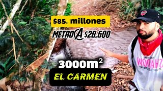 VENDO LOTES EN EL CARMEN VALLE DE 3000M² A 85 MILLONES🏖️ SEPARE EL SUYO A 45 MIN DE CALI CITY quot [upl. by Loriner74]